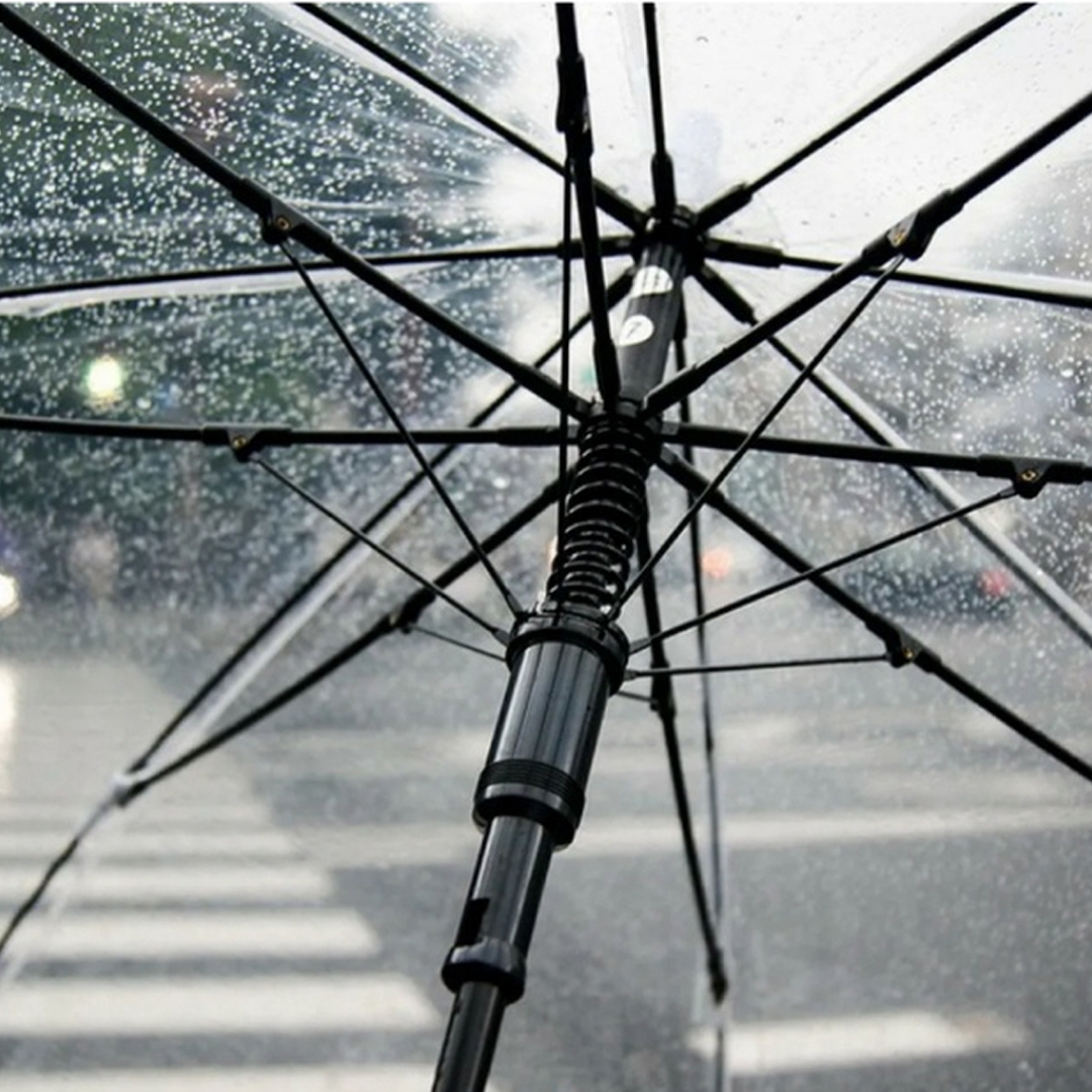 GUARDA CHUVA TRANSPARENTE